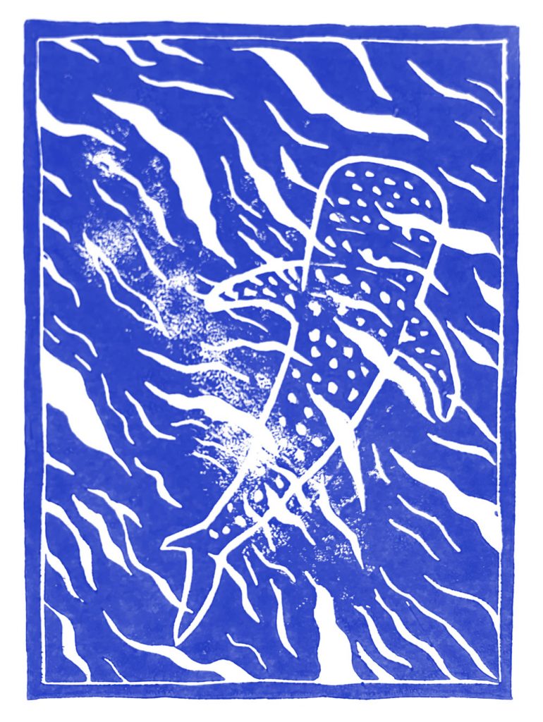 requin-baleine-linogravure